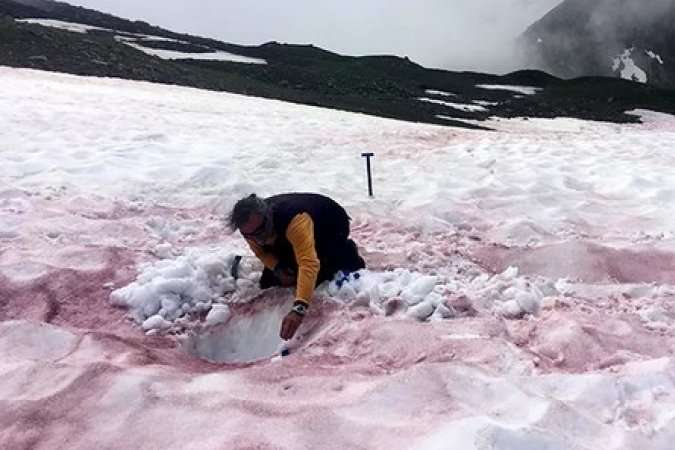 «Рожеві Альпи»: учені розкрили характер «кольорових» льодовиків (фото)