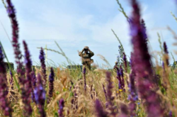  Боевых потерь среди украинских военных нет 