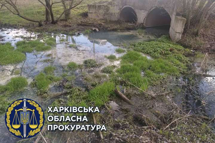 На Харківщині виправна колонія стала причиною екологічного лиха (фото)