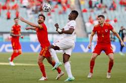 Пес-провісник не вгадав переможця матчу Вельс – Швейцарія