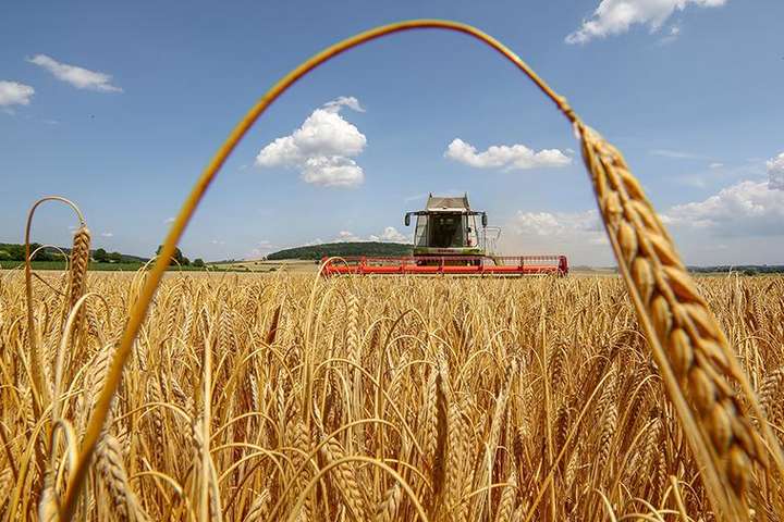 Над рекордним урожаєм зернових в Україні нависла загроза