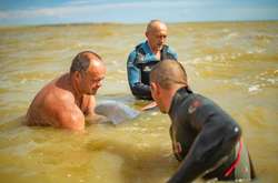 На Херсонщині врятували дельфіна, якого шторм прибив до берега (фото)
