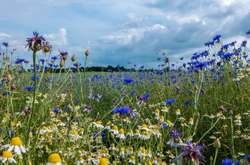 Синоптикиня попередила українців про «складну погоду»