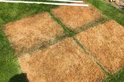 Когда столкнулся с настоящим невезением, и все старания накрылись медным тазом. Курьезные фото