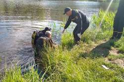 З озера в Києві водолази дістали тіло 19-річного хлопця