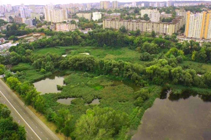 На нижньому каскаді Совських ставків планують створити екопарк - Совські ставки врятовано від забудови: суд повернув киянам 19 га землі