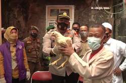  Курчат в Індонезії роздають людям від 45 років і старше після того, як вони зроблять щеплення 