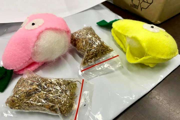 Київські митники виявили в іграшках із Індонезії кокаїновий сюрприз (фото)
