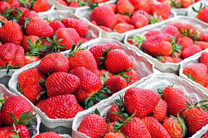 Сезон клубники: цены на ягоду упали вдвое