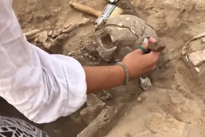 На розкопки унікального кургану Мамай-Гора запрошують волонтерів (відео)