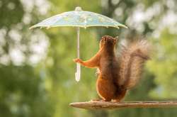 Синоптики попередили, де розгуляються сильні дощі