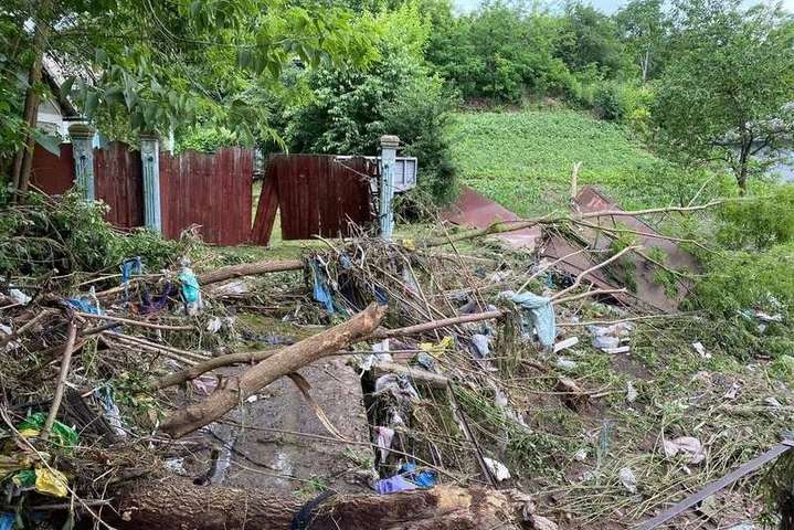 На Буковині водна стихія зруйнувала село: постраждали люди, тварини і хати (фото)