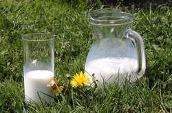 У порівнянні з аналізованим періодом 2020 року ринок недоотримав 3,7 тис. т молока