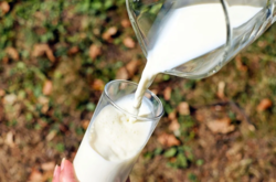 По сравнению с анализируемым периодом 2020 года рынок получил 3,7 тыс. тонн молока