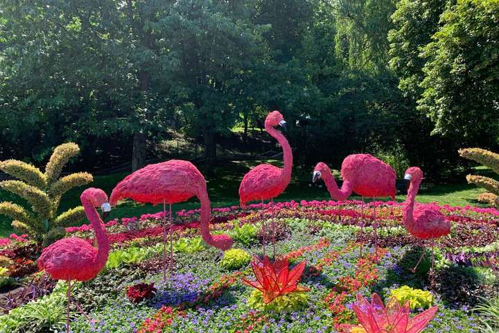 Дикі тварини в центрі Києва: виставка квітів вражає розмахом (фото)