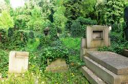 Хлопця знайшли в чагарниках на кладовищі