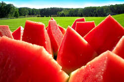 Аграрії розповіли, яким буде сезон кавунів 