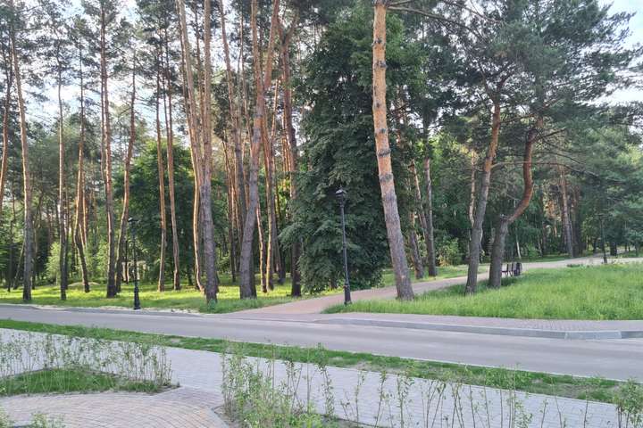 На Київщині кадастрового реєстратора викрили на земельній махінації