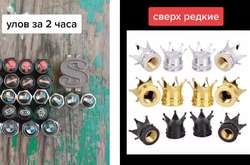 Укради ковпачок з автомобіля: підлітки підтримали дивний челендж (відео)