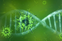 В Украине уже зафиксировали новый штамм коронавируса