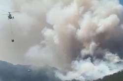 У турецькому Мармарисі з готелів евакуюють туристів через лісову пожежу