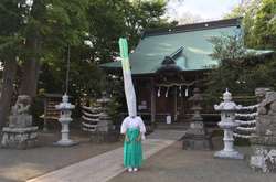 В Японии священник надевает костюм зеленого лука, чтобы привлечь людей в храм