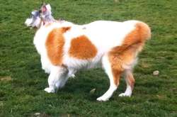 Подборка курьезных оптических иллюзий, которые не всегда удается разгадать с первого раза