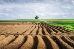 Земельну реформу впроваджуватимуть двома етапами