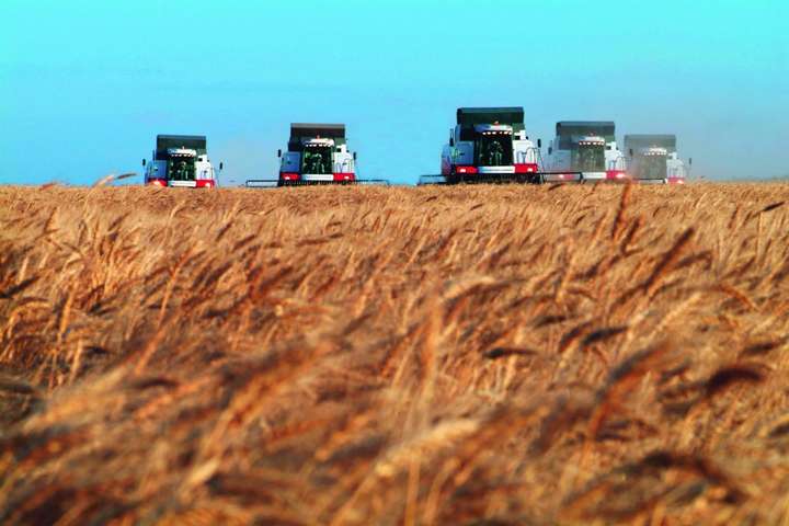 Менше населення – більші заробітки. Експортери зерна розказали, як їм пощастило в Україні