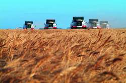 Менше населення – більші заробітки. Експортери зерна розказали, як їм пощастило в Україні