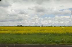 У центральній Україні з 1 по 9 липня вдень повітря прогріватиметься до +2... +29 градусів