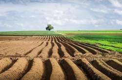 Земля підніматиметься в ціні щороку