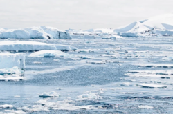 Глобальное потепление в Антарктиде: зафиксирована рекордная температура