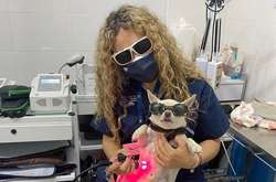 Быть ветеринаром не только ответственно, но и очень весело. Подборка забавных фото