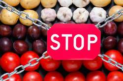 Уряд РФ заборонив ввезеня з України низки товарів