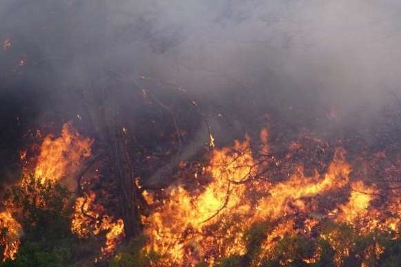 На Кіпрі вирує масштабна лісова пожежа, країна просить допомоги (фото)