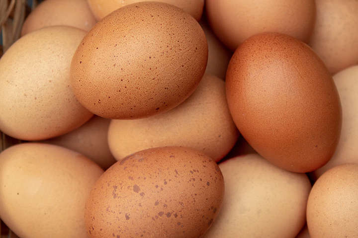 Цены на яйца резко вырастут: когда и сколько заплатим