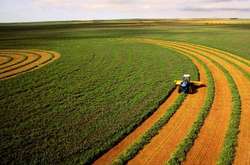  Ринок землі запрацював 1 липня  