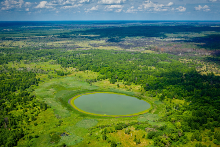 Когда водоем имел другую форму - В Чернобыле обнаружили озеро-глаз (фото)