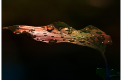 14 июля: какой сегодня праздник, приметы и запреты