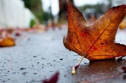 За прогнозом Леоніда Горбаня, на українців чекають ранні холоди вже в листопаді