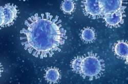 Фахівець підкреслив, що найкраще вакцинованими виявилися групи українців 40-49 років і 50-59 років