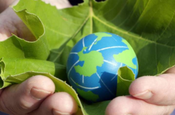 Эксперты ООН представили новый план спасения планеты: что планируют сделать