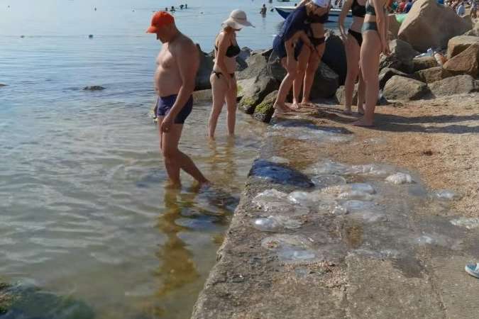 У Бердянську море окупували медузи, туристи шоковані (відео)