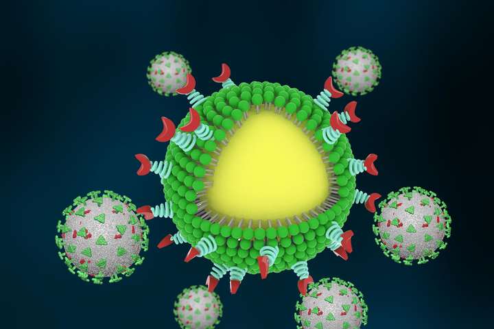 Вчені розробили нанопастки для боротьби з вірусами