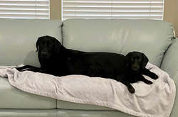 Подборка оптических иллюзий, которые не всегда удается разгадать с первого раза (фото)