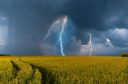 Синоптик рассказала, какой будет погода на выходные