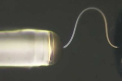  Больше всего новый материал напоминает обычный провод 