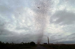 Человеческих жертв во время нашествия нет