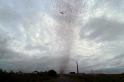 Росія потерпає від моторошного природного явища (відео)